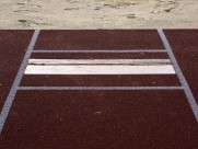 体育运动场图片