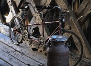 自行车图片大全