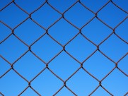 结实的铁丝网图片大全