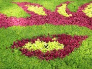 公园园艺设计图片