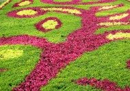 公园园艺设计图片