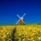 唯美的风车图片大全