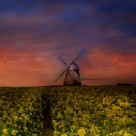 唯美的风车图片大全