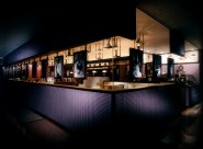 STRIKE-深田恭通作品图片