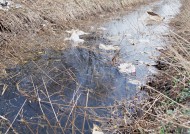 污水排放图片大全