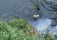 污水排放图片大全