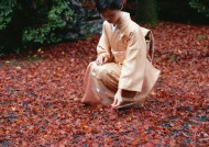 日式庭院和枫叶图片