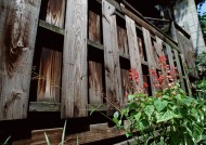 居民生活小巷特写图片