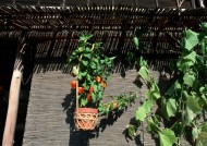 居民生活小巷特写图片