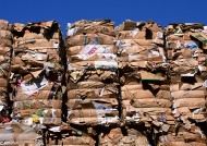 垃圾场、垃圾污染图片