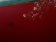 充满特色的墙的图片大全