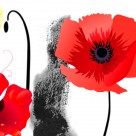 喜庆红色花朵三联画图片