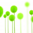 绿色清新家居三联画图片