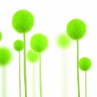 绿色清新家居三联画图片