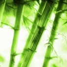 绿色清新家居三联画图片