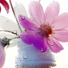 高清花朵家居三联画图片