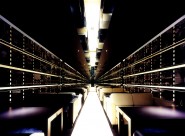 Photogenic-深田恭通作品图片