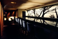 carmenere-深田恭通作品图片