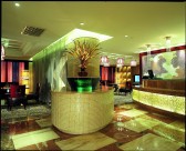 河南天地粤海大酒店-姜峰作品图片