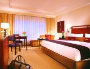 北京半岛酒店图片大全