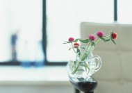 家居花草植物盆栽摆设图片大全