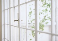 家居花草植物盆栽摆设图片大全