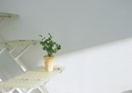 家居花草植物盆栽摆设图片大全