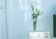 家居花草植物盆栽摆设图片大全