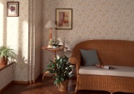 室内设计图片大全