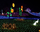 圣诞之夜图片大全