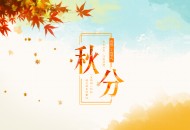 二十四节气之秋分设计素材图片