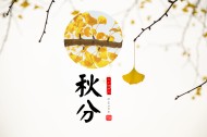 二十四节气之秋分设计素材图片