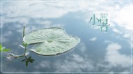 24节气小暑设计素材图片