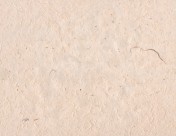 纸张怀旧效果素材图片