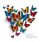 多彩蝴蝶背景图片