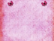 蝴蝶图案背景图片大全