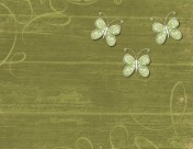 蝴蝶图案背景图片大全