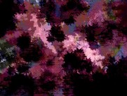 复杂有规律的花纹背景图片