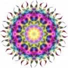 怪异的花纹背景图片大全