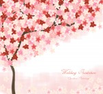 韩国唯美花朵背景图片