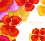 韩国唯美花朵背景图片