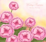 韩国唯美花朵背景图片