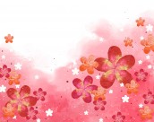 韩国唯美花朵背景图片