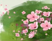 韩国唯美花朵背景图片