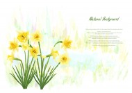 明亮黄色韩国花朵背景图片大全