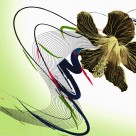 缤纷花朵三联挂画图片