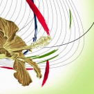 缤纷花朵三联挂画图片