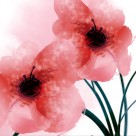 水墨花朵鱼三联画图片