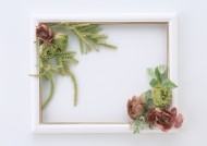 缠绕相框的花朵图片