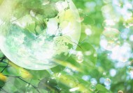 梦幻地球和城市设计图片